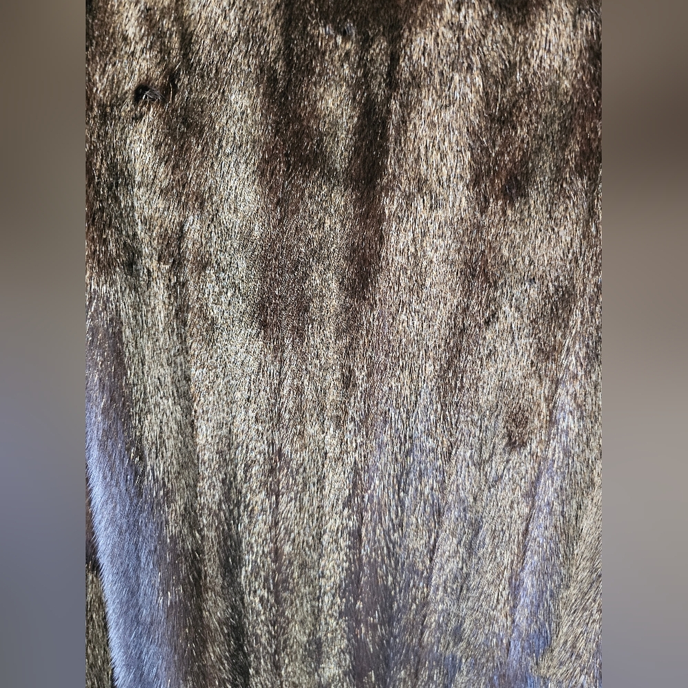 GORGEOUS SOFT Dark Brown FEMALE Ranch Fine Mink Fur Stroller Coat SIZE: MED-LARG - Picture 4 of 5